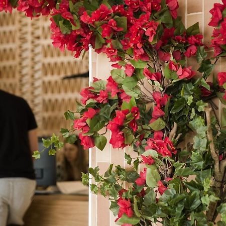Hotel More Alcudia  Ngoại thất bức ảnh