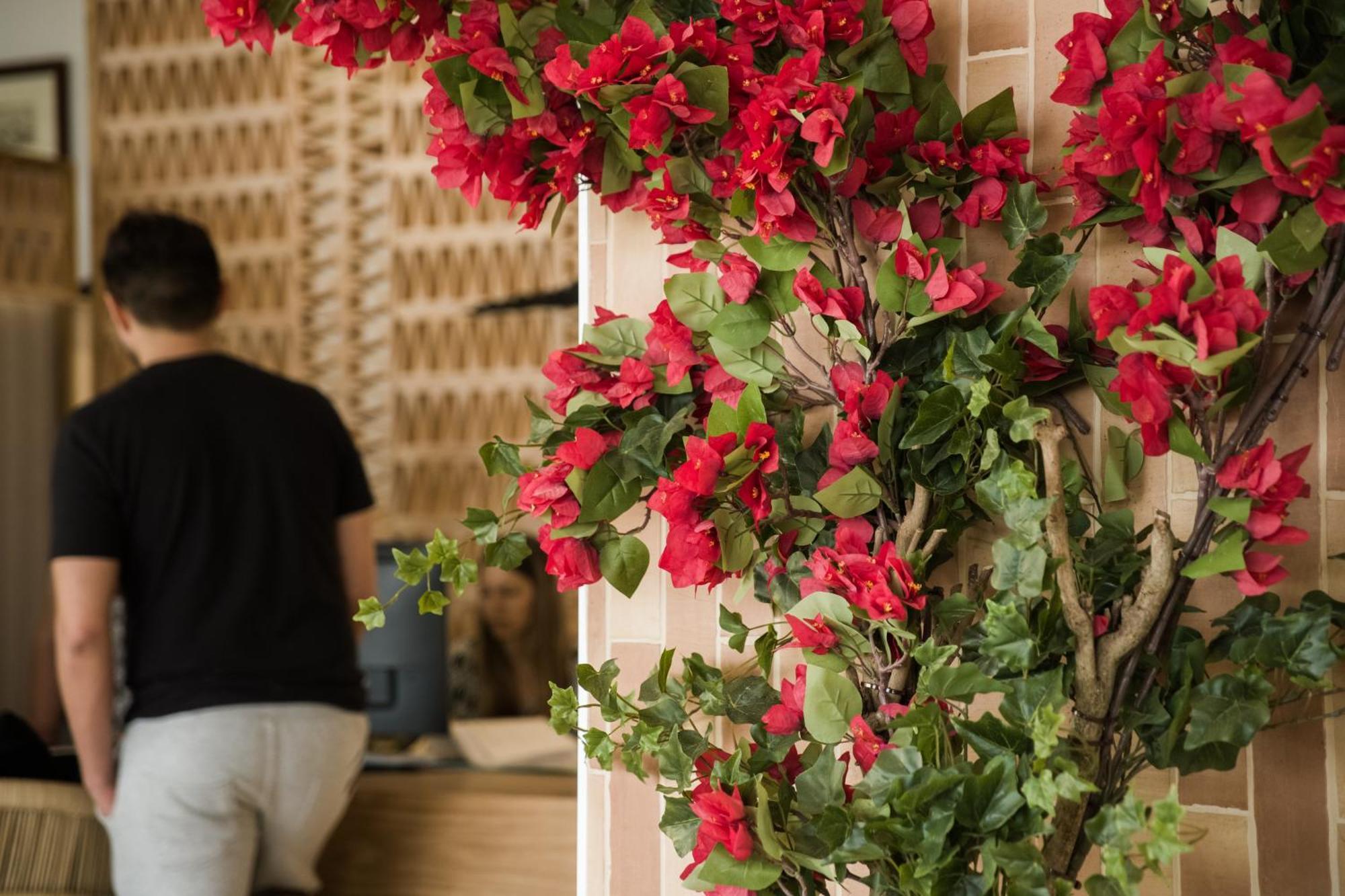 Hotel More Alcudia  Ngoại thất bức ảnh
